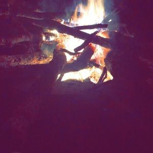 Meet your Posher, Josie